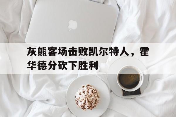 灰熊客场击败凯尔特人，霍华德分砍下胜利